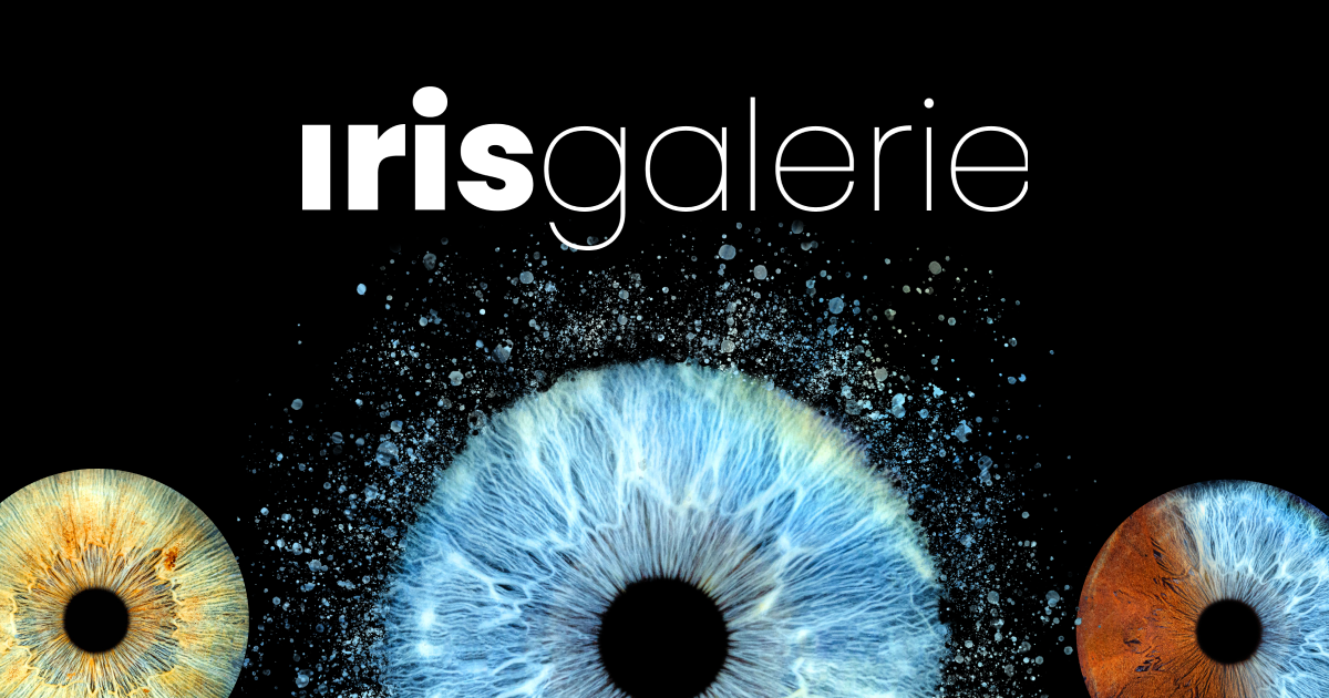 Our concept - Iris Galerie