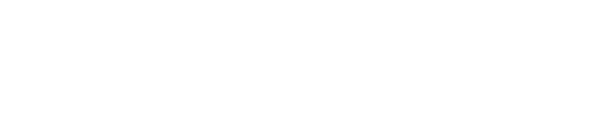 Iris gallery logo